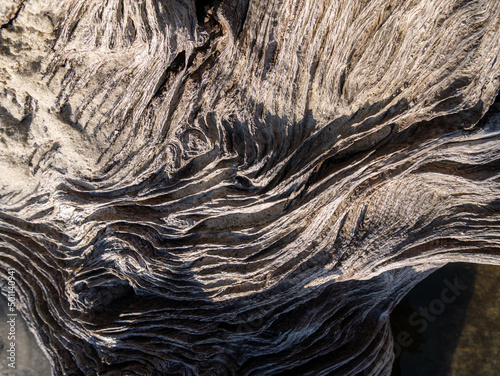 texture of wood