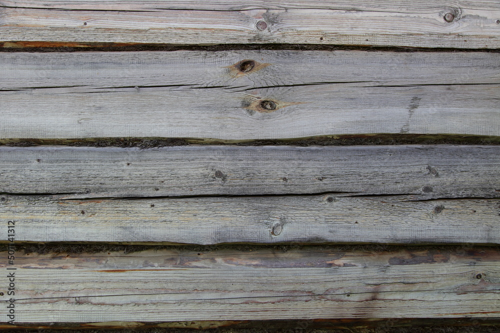 Obraz premium Texture of a log wall with moss seams in close-up. The background of a wooden log house.