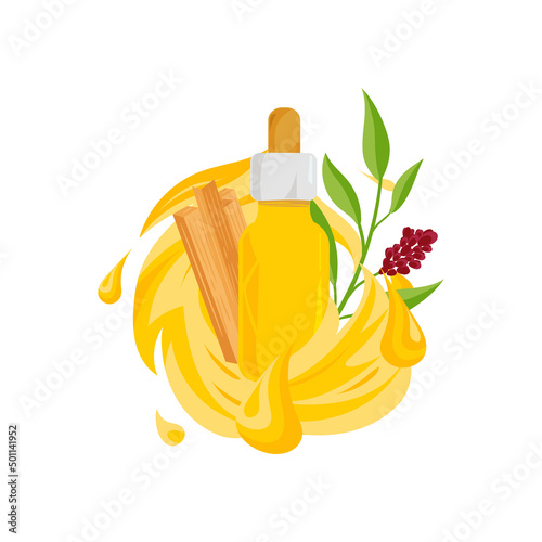 Sandalwood. Oil, plant branch, bark. Vector