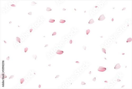 Sakura petals. Cherry petals backdrop