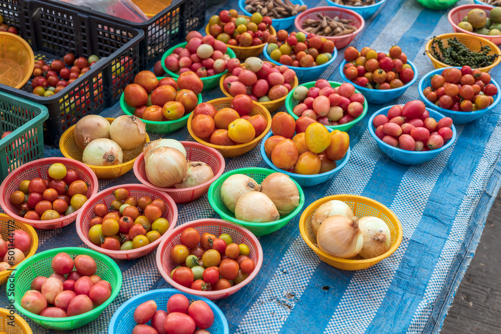 Many red tomatoes and others are piled up in small plastic pans. Many red tomatoes and others are piled up in small plastic pans.