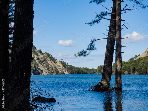 Un tronc sur le lac © Lucas