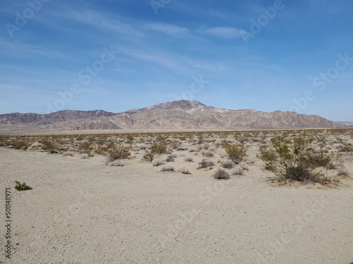 Flat Desert Landscape