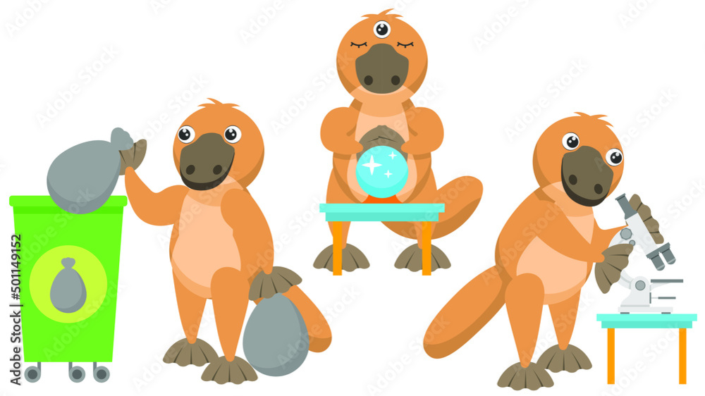 Obraz premium Set Abstract Collection Flat Cartoon Different Animal Platypus Duckbill Throws Out The Trash, Three Eyes And A Ball Of Predictions, Looking Through A Microscope Vector Elements Fauna Wildlife