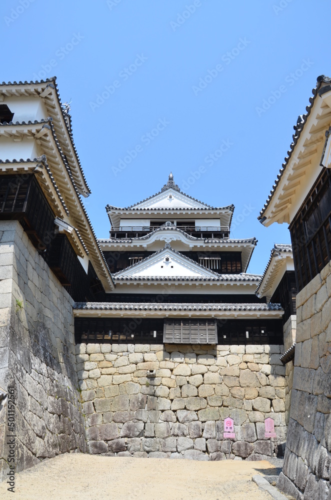 松山城 大天守・小天守・一ノ門南櫓 松山城 大天守・小天守・一ノ門南櫓