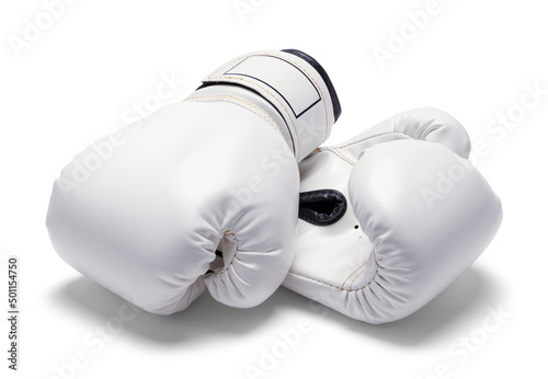 Fotografie White Boxing Gloves