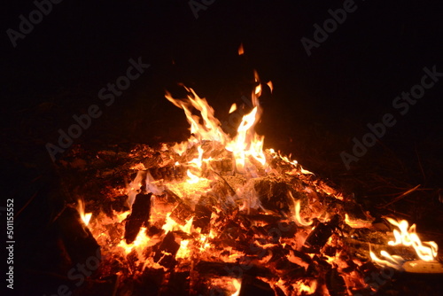 Summer campfire in the forest on holiday