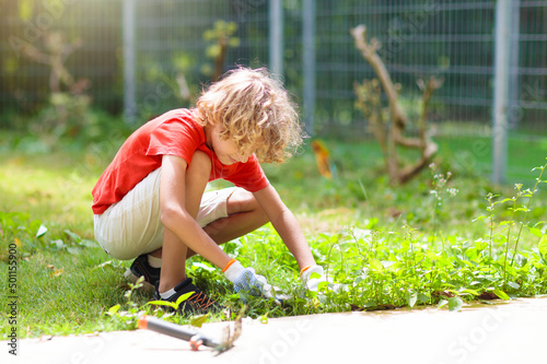 Child pulling weeds in summer garden.