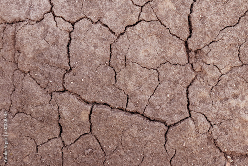 The surface of the soil is covered with cracks during drought