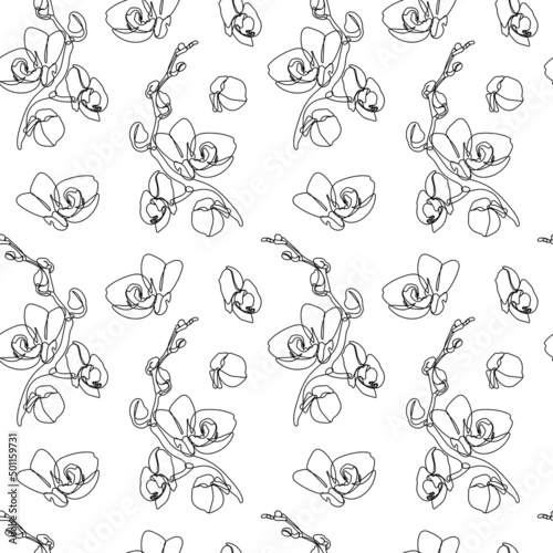 Seamless pattern with one single line drawings of orchid flowers. Black line on whte background.