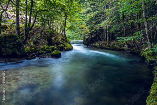 Beautiful river in the valley. (Valley of Orlu, France)