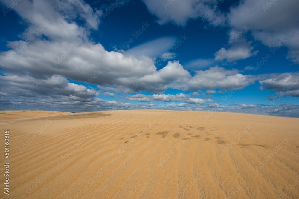 Blue skies, fluffy white clouds and wind rippled sand dunes at North Carolina's Jockey's Ridge State Park Blue skies, fluffy white clouds and wind rippled sand dunes at North Carolina's Jockey's Ridge State Park