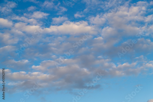 Fototapeta Naklejka Na Ścianę i Meble -  White cumulus clouds on a clear blue sky.