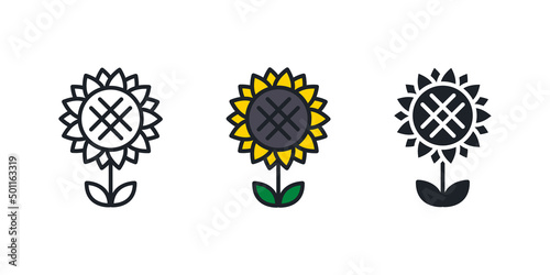 Sunflower icon. Field flowers isolated vector icon