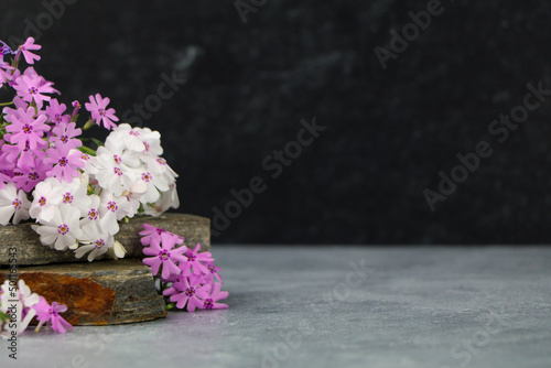 Black background with flowers and rocks product mock up