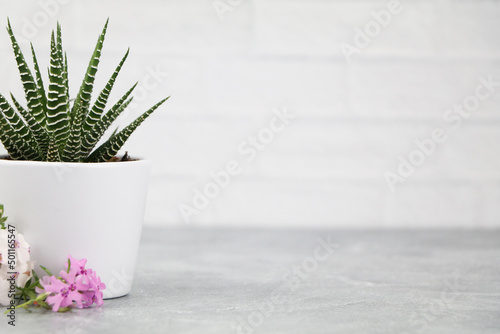 White Subway Tile Background for Product Mock Up