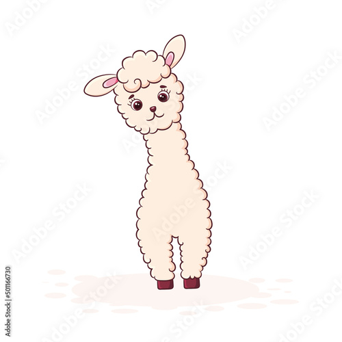 Cute cartoon llama isolated on white background.