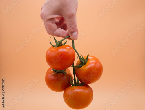 Racimo de tomates ecologicos recien cosechados en fondo blanco photo