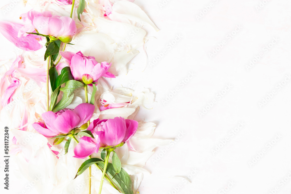 Abstract Border of Beautiful pink and white peony flowers with copy space for your text top view and flat lay style Abstract Border of Beautiful pink and white peony flowers with copy space for your text top view and flat lay style