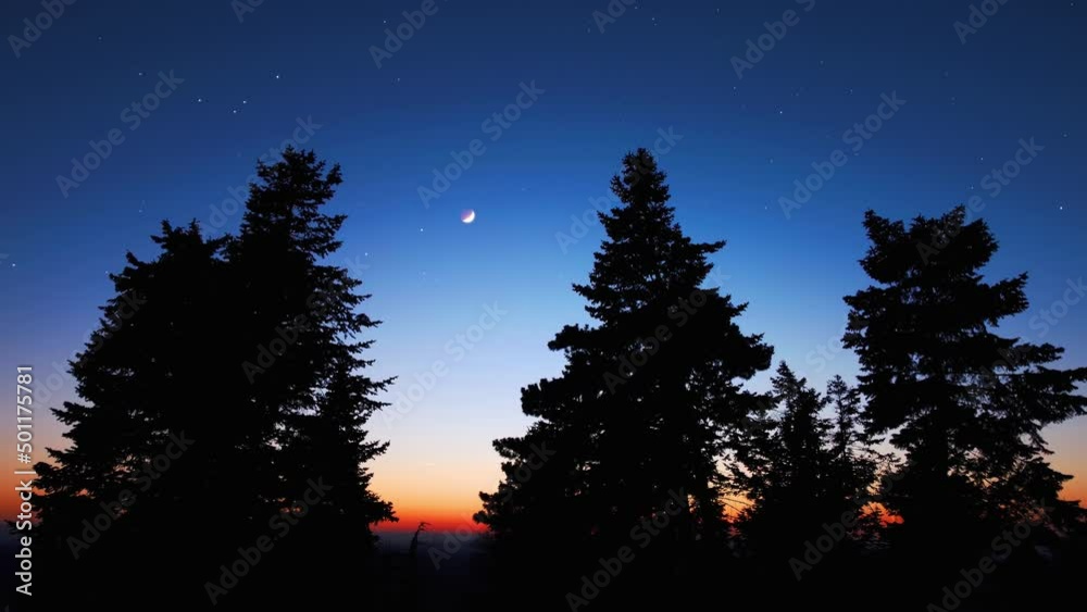 Crescent Moon with stars, planets and tree silhouettes on evening sky.
Crescent Moon with stars, planets and tree silhouettes on evening sky.