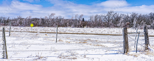 Lonely winter panorama
