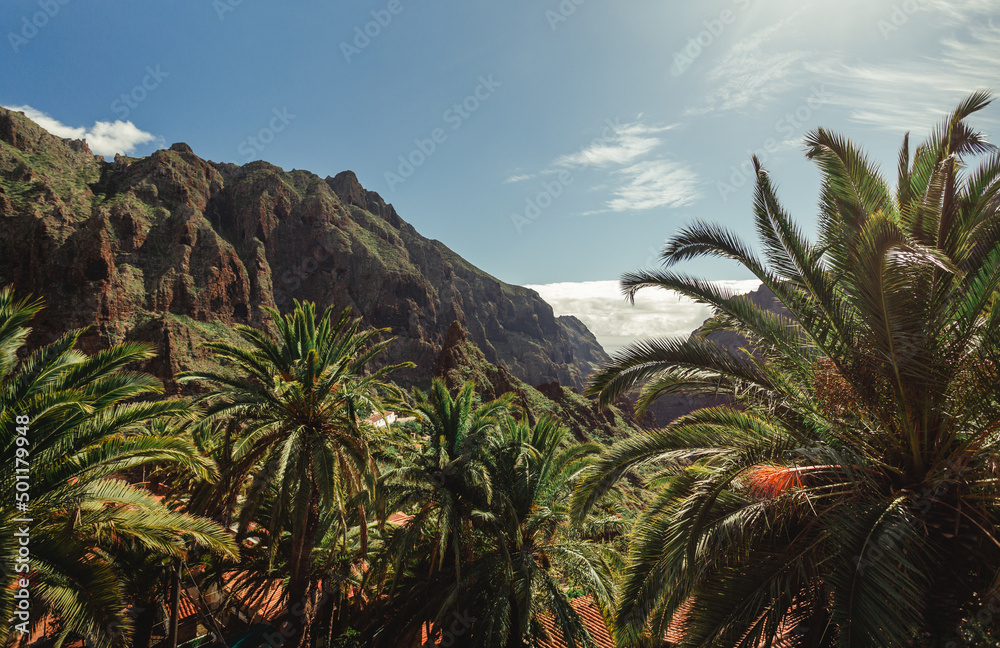 Beautiful Masca village of Tenerife, Spain. Panoramic view of palm trees and green hills with cloudy sky in Canary Islands.
