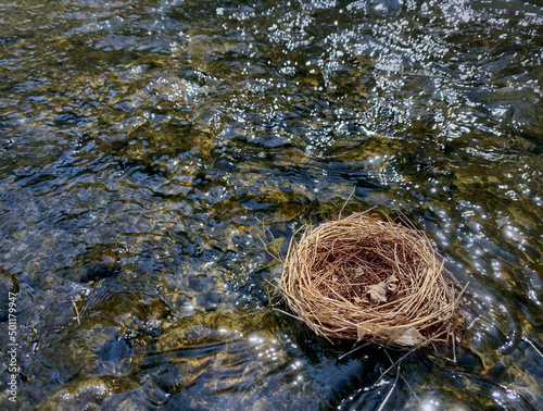 Nest floating on water. Lost home concept