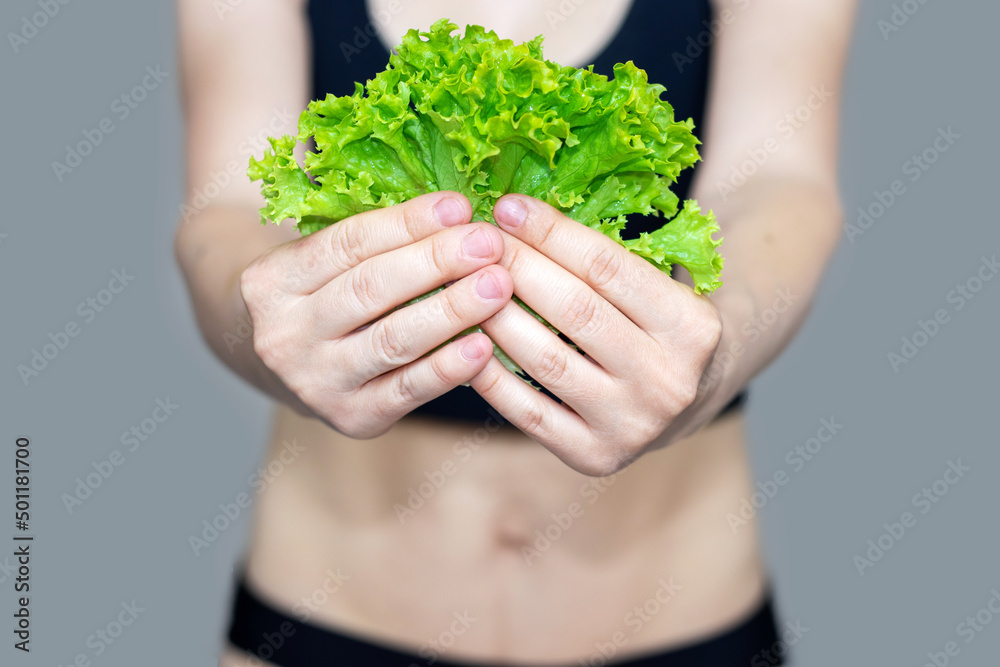 young attractive woman is holding in one or both hands some lettuce  leaves. fitness, diet, get fit, slim body concept. loose weight after giving birth. sexy girl shows abs. fresh,green salad leaves.