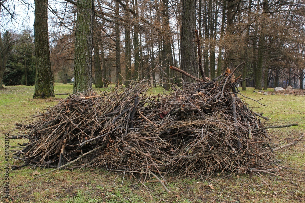 Part of sawn tree branches on ground. Land earth clearing in spring. All branches are cut down. Preparing the garden and park for plant crops. Selective focus. Sawed trunks and branches of old trees. Part of sawn tree branches on ground. Land earth clearing in spring. All branches are cut down. Preparing the garden and park for plant crops. Selective focus. Sawed trunks and branches of old trees.