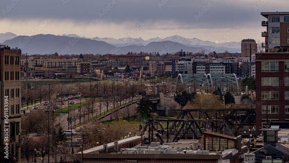 Rino Denver looking at the mountains