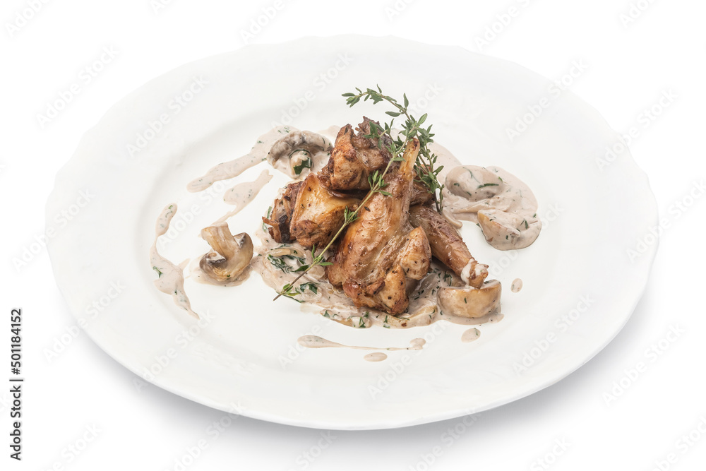 Grilled chicken with vegetables in a plate. Photo of food on a white background