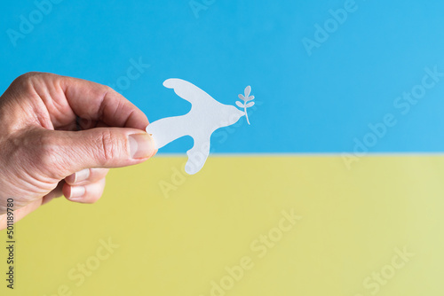Hand holding white dove with paper olive branch on Ukrainian flag. © castellanos80