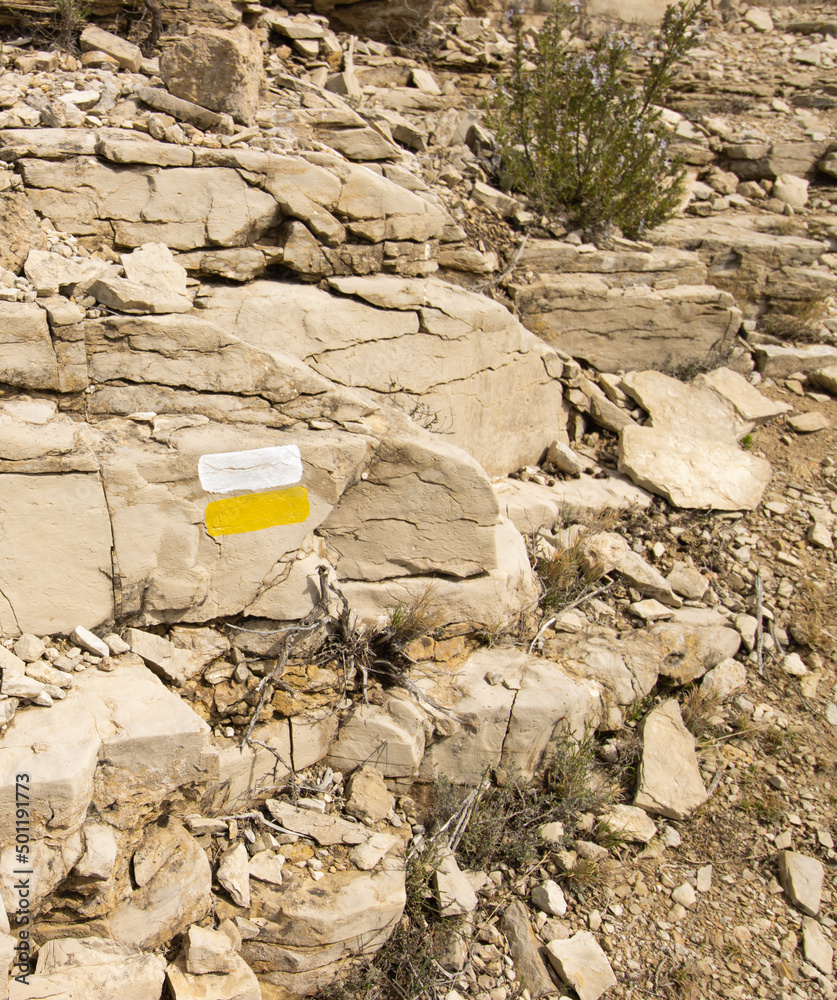 Still life background