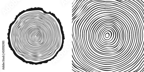 Round tree trunk cut, sawn pine or oak slice. Saw cut timber, wood. Wooden texture with tree rings. Hand drawn sketch. Vector illustration