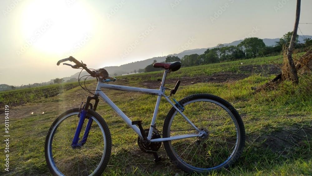 bicycle in the field