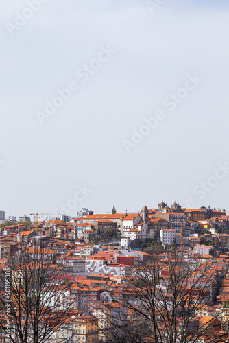 Porto skyline