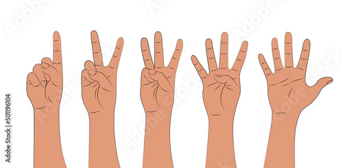 Hand shows fingers, counting from one to five isolated on white background. Cartoon set of counting hands. Hands gesture numbers. Vector illustration