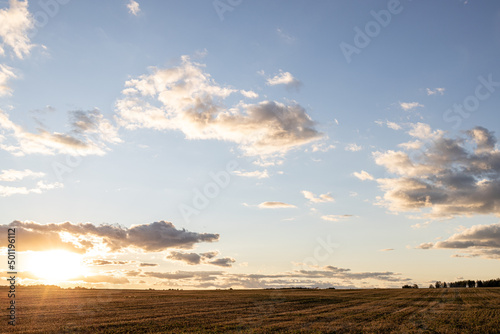 field skyline and setting sun on a summer evening