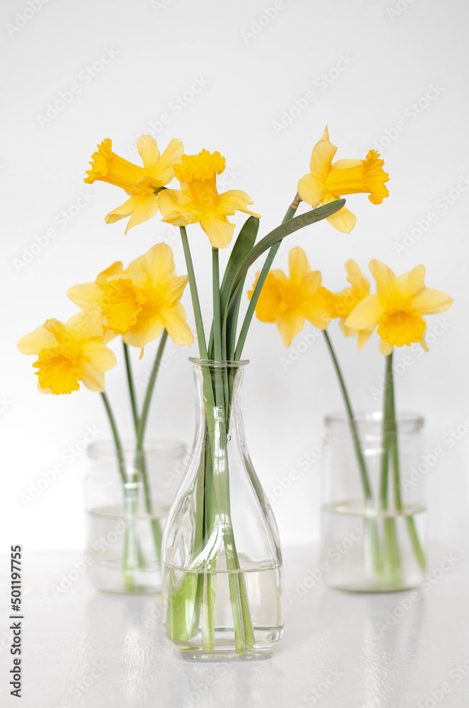 Yellow daffodils in transparent vases on a table on a white background. Minimalism. Selective focus Yellow daffodils in transparent vases on a table on a white background. Minimalism. Selective focus