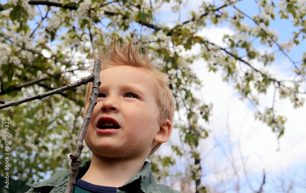 A portrait of a boy in a dark green shirt of European appearance in the spring against the background of a blue sky close-up is a selective trick. A portrait of a boy in a dark green shirt of European appearance in the spring against the background of a blue sky close-up is a selective trick.