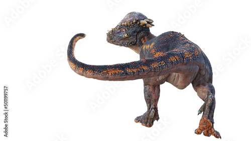 Pachycephalosaurus  dinosaur from the Late Cretaceous period  isolated on white background