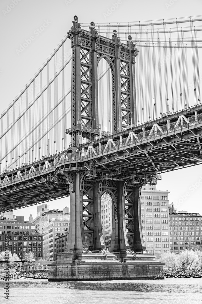 Fototapeta premium creative