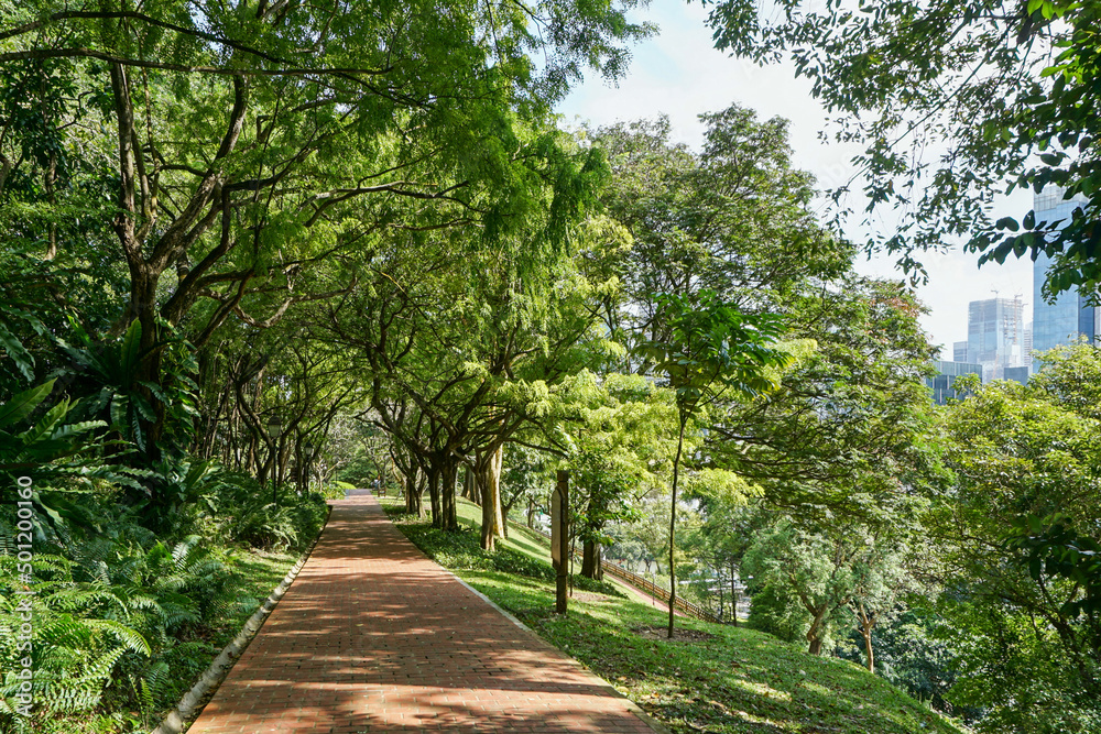 A foothpath in the Fort Canning Park in Singapore