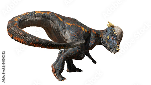 Fototapeta Naklejka Na Ścianę i Meble -  Pachycephalosaurus, dinosaur from the Late Cretaceous period, isolated on white background