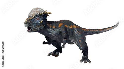 Fototapeta Naklejka Na Ścianę i Meble -  Pachycephalosaurus, dinosaur from the Late Cretaceous period, isolated on white background