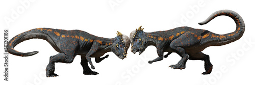 Pachycephalosaurus, head-butting dinosaurs from the Late Cretaceous period, isolated on white background © dottedyeti