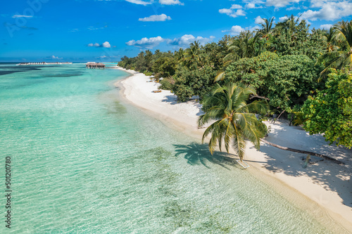 Amazing island beach. Maldives from aerial view tranquil tropical landscape seaside with palm trees on white sandy beach. Exotic nature shore, luxury resort island. Beautiful summer holiday tourism