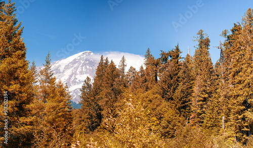 Mount Rainier National Park in fall season, snow on the mountain