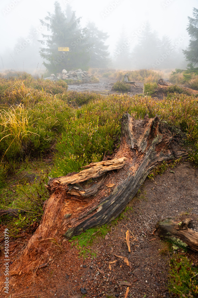 View of the mountain trail during wet autumn weather