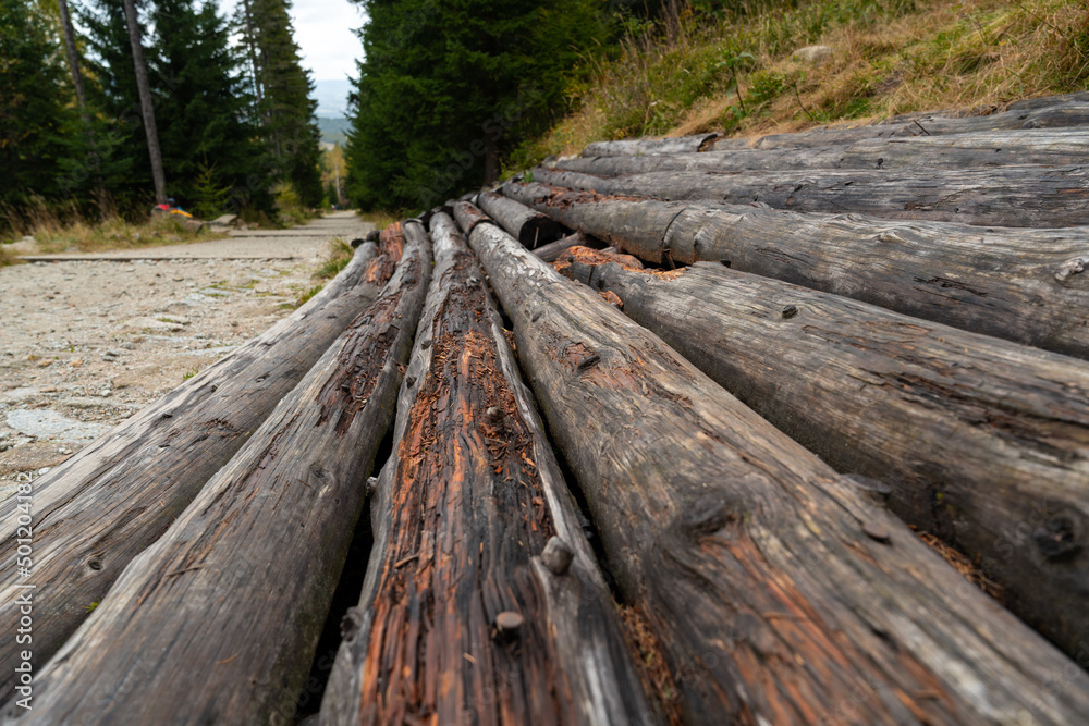 A view of the hardened hiking trail and next to it there are logs of wood A view of the hardened hiking trail and next to it there are logs of wood
